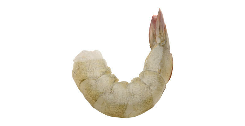 PUD-T-ON-crudo.jpeg