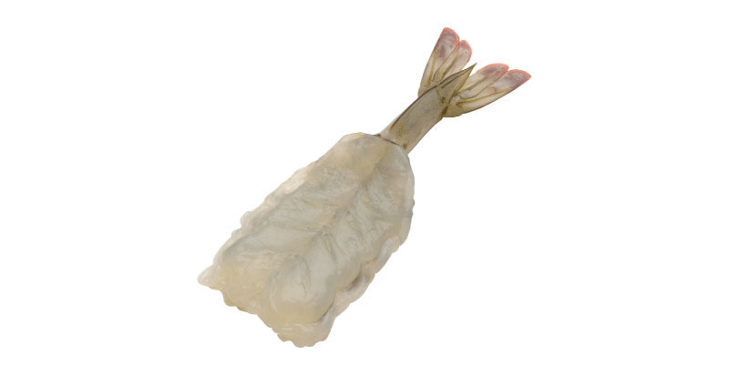 mariposa-t-on-ccudo.jpeg