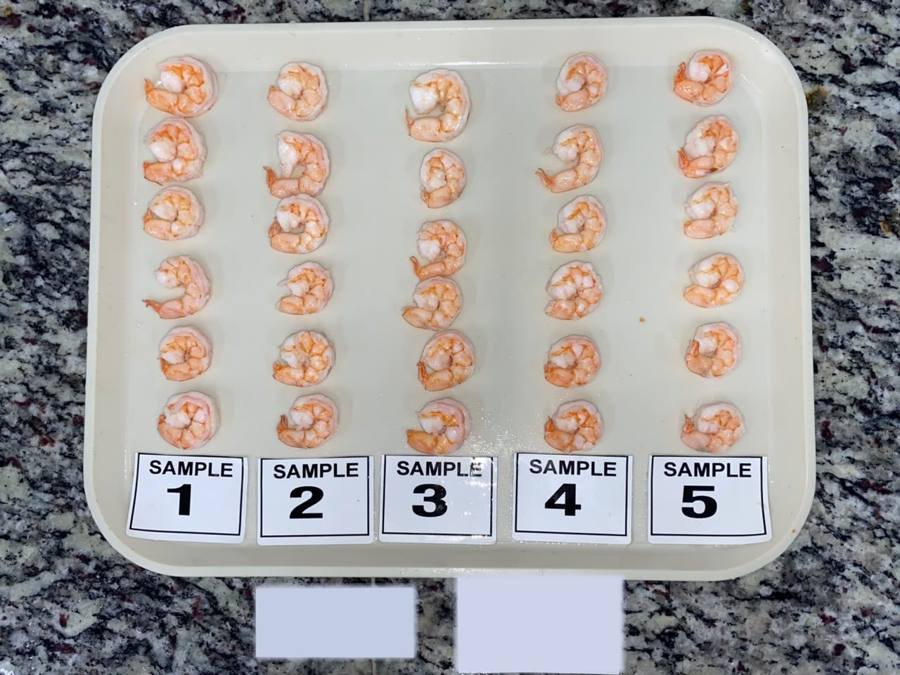 Shrimp cooking test samples - independent inspection in Ecuador