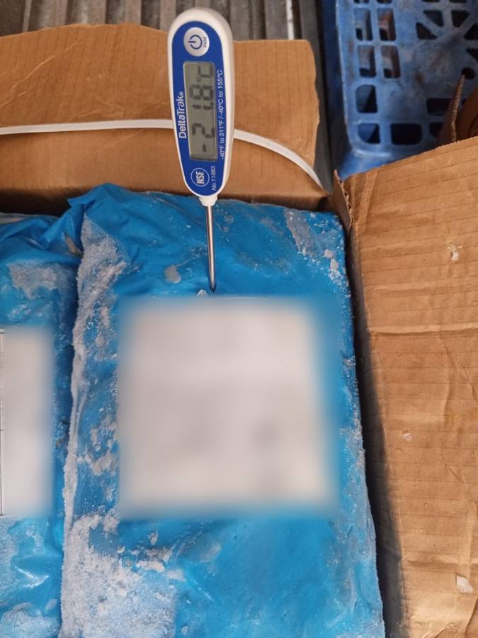 Temperatura interna del bloque congelado — inspección de camarón en Ecuador