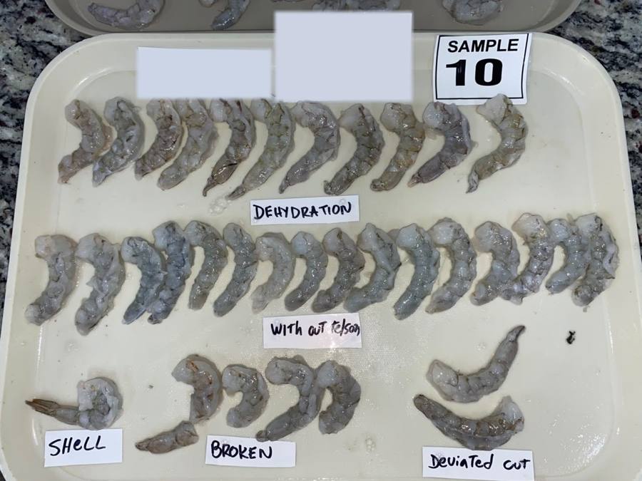 Camarón pelado: rotos y corte desviado — inspección de camarón en Ecuador