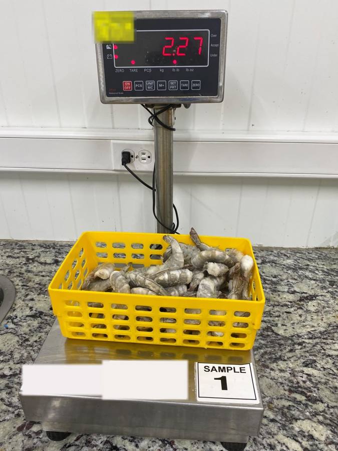 Peso neto después de quitar el glaseo — inspección de camarón en Ecuador