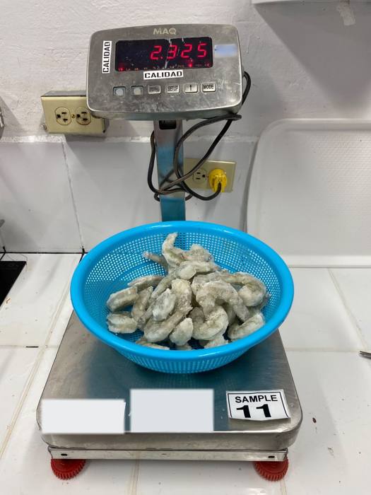 Muestra de camarón sin glaseo en una balanza calibrada durante una inspección en Ecuador